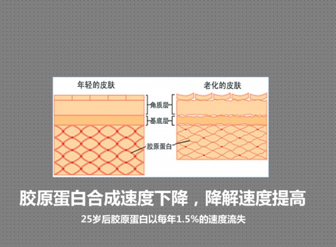 胶原蛋白针作用与功效？