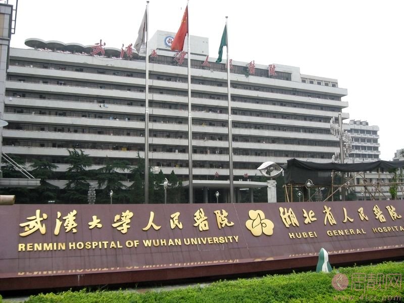 武汉大学人名医院整形科怎么样？2020价格表出炉