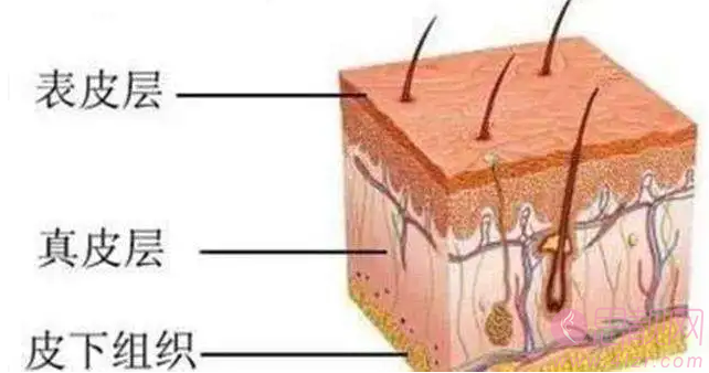 隆鼻后遗症如何预防?