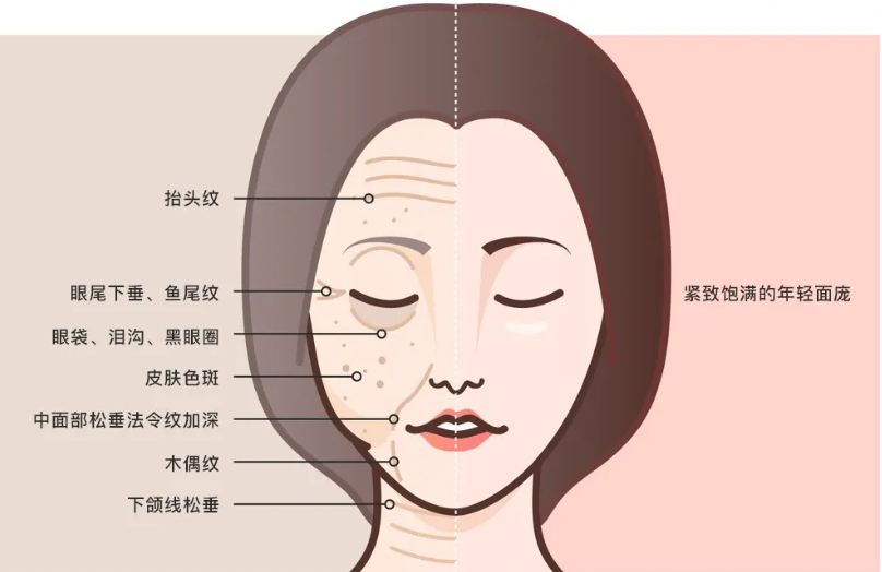 抗衰干货，什么液态抗衰提升